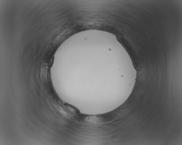 X0000076400231200611031730