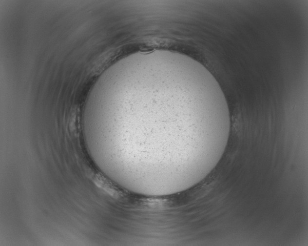 X0000076400233200611031730