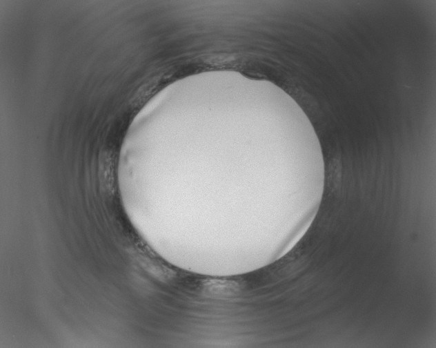 X0000076400234200611031730