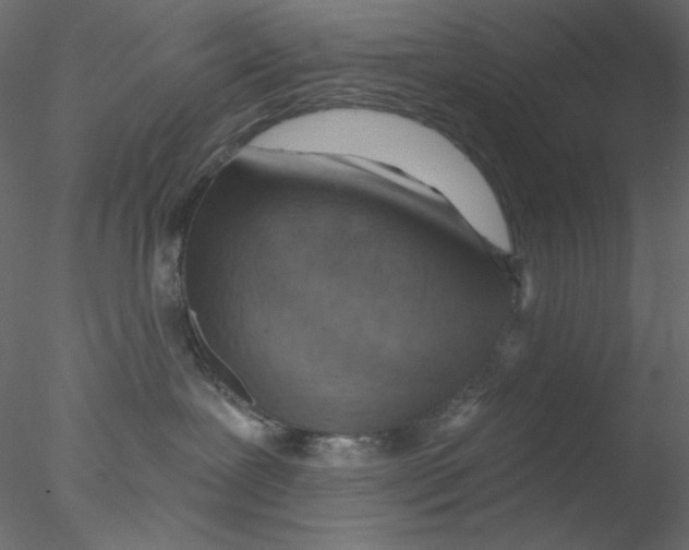 X0000076400239200611031730