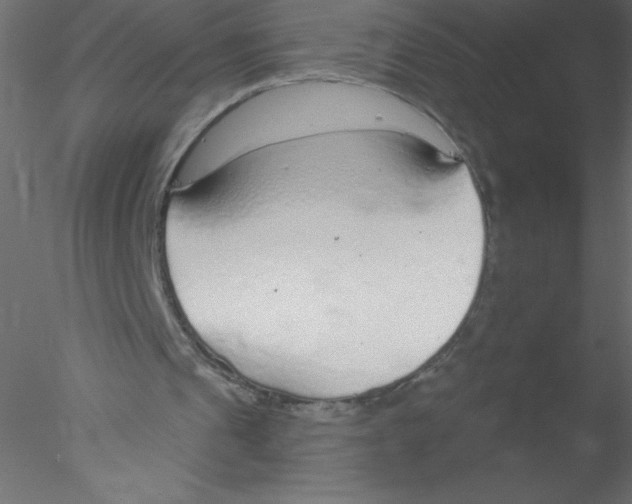 X0000076400241200611031729