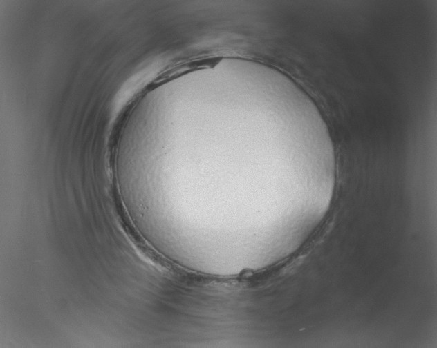 X0000076400245200611031729