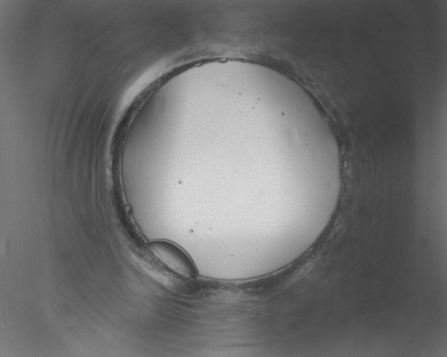 X0000076400246200611031729