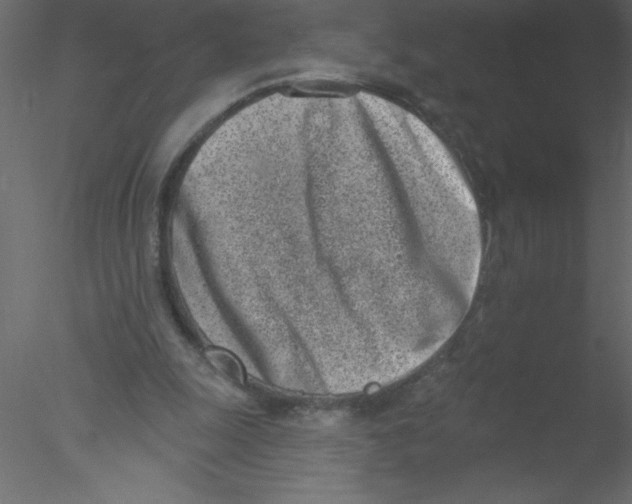 X0000076400247200611031729