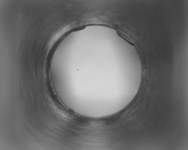 X0000076400248200611031729