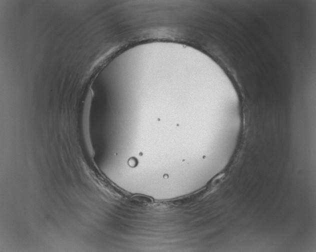 X0000076400249200611031729