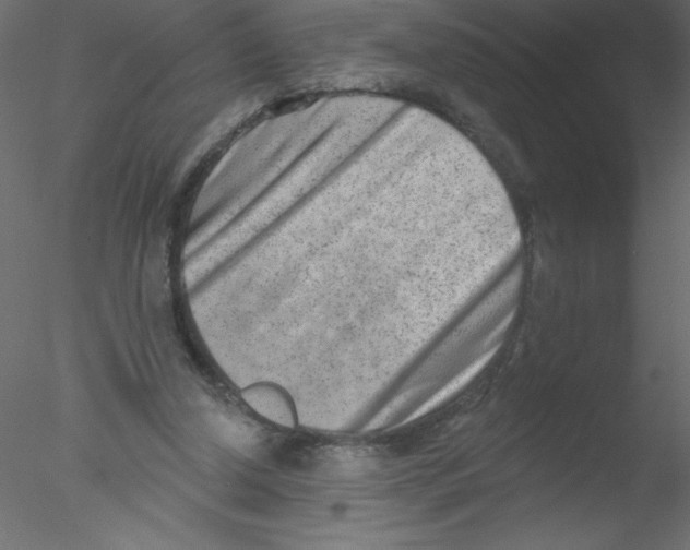 X0000076400250200611031729