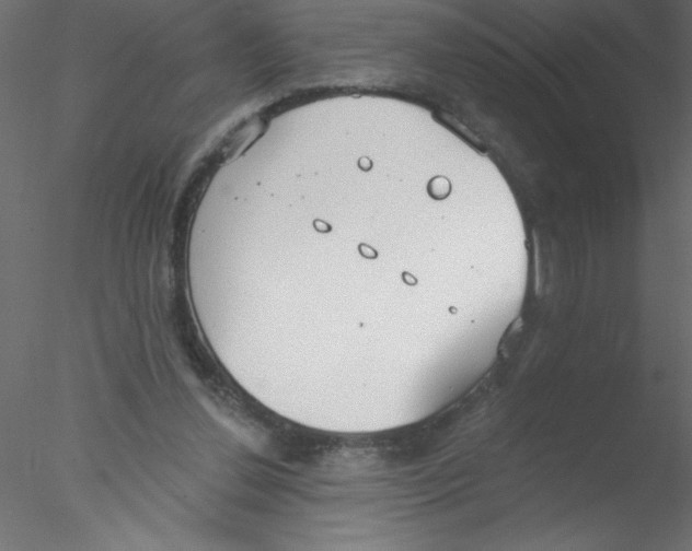 X0000076400252200611031729