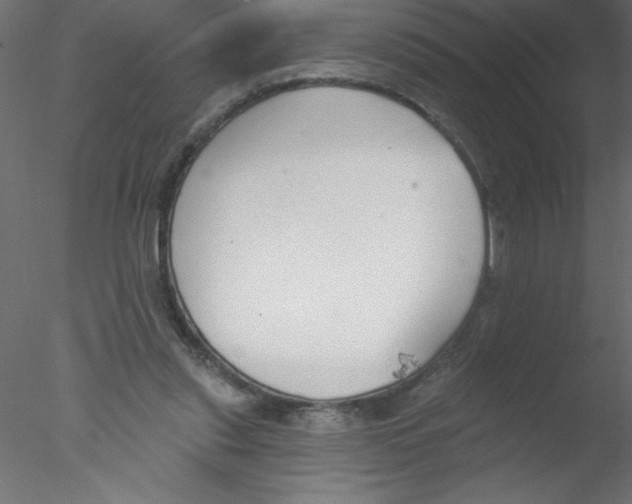 X0000076400253200611031729