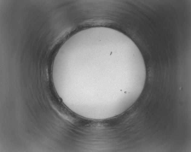 X0000076400254200611031729