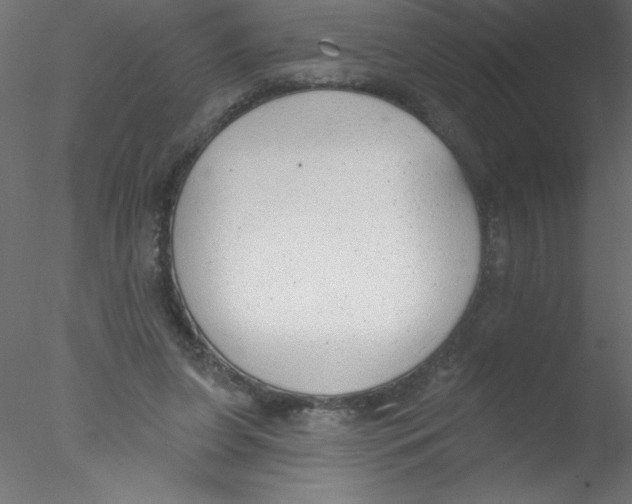 X0000076400255200611031729