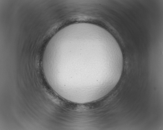 X0000076400257200611031729