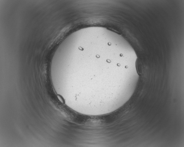 X0000076400260200611031729