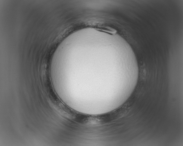 X0000076400263200611031729