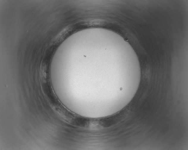 X0000076400264200611031729