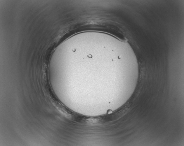 X0000076400265200611031729