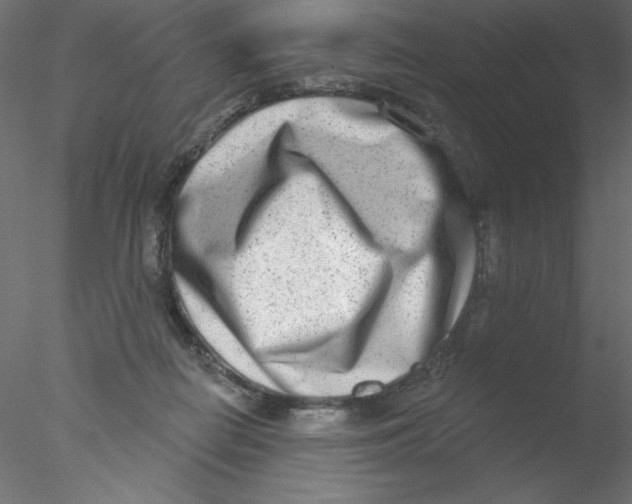 X0000076400266200611031729