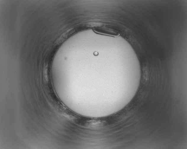 X0000076400267200611031729