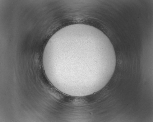 X0000076400270200611031729