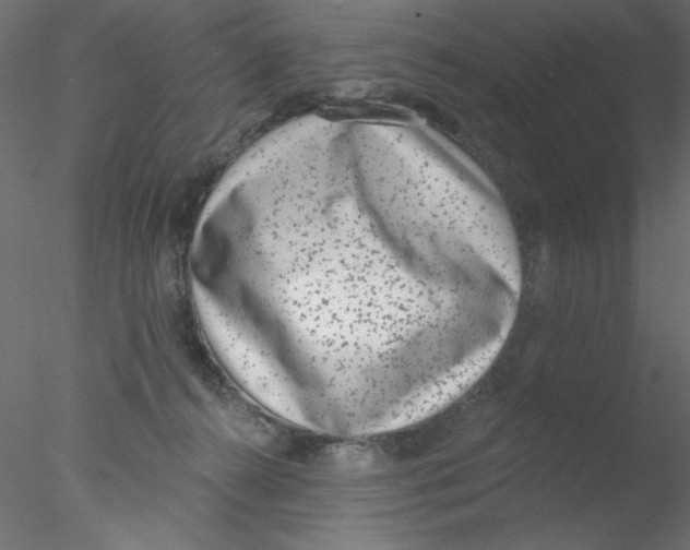 X0000076400272200611031729