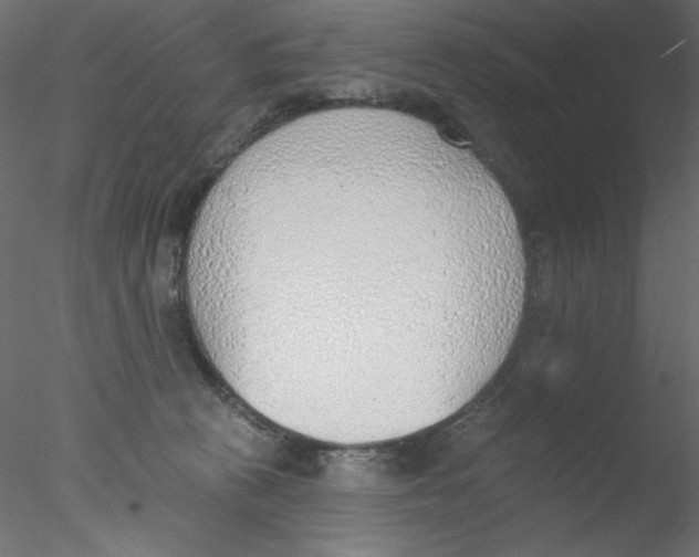 X0000076400273200611031729