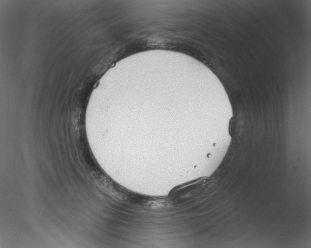 X0000076400275200611031729