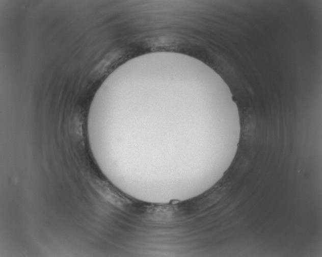 X0000076400282200611031730