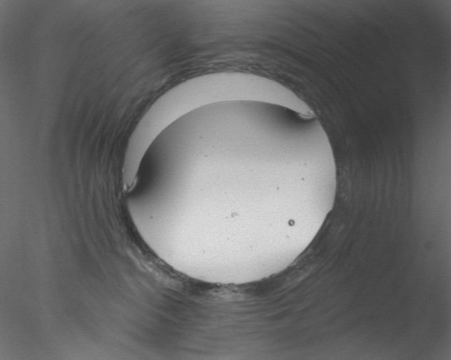 X0000076400284200611031730