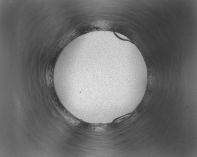 X0000076400285200611031730