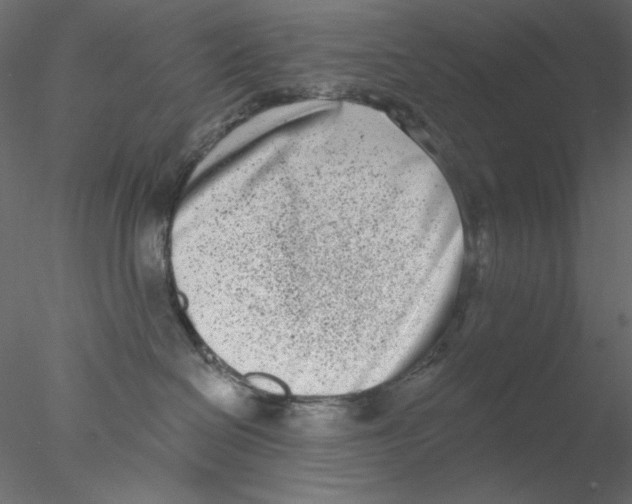 X0000076400286200611031730