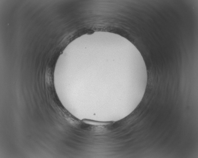 X0000076400287200611031730