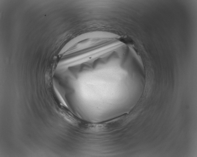 X0000076400288200611031730