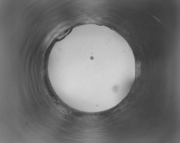 X0000076400291200611031729