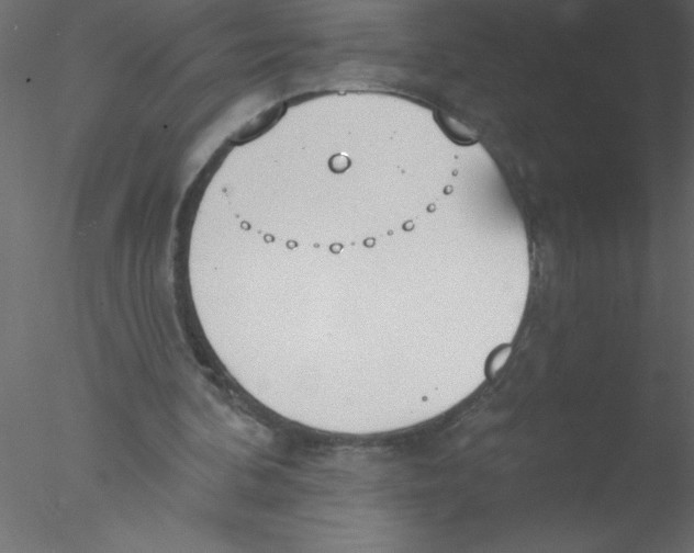 X0000076400292200611031729