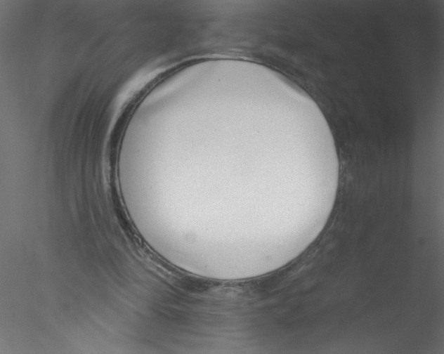 X0000076400294200611031729