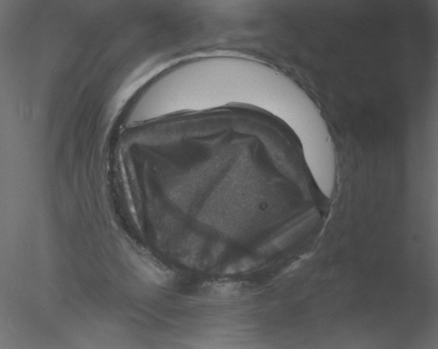 X0000076400295200611031729