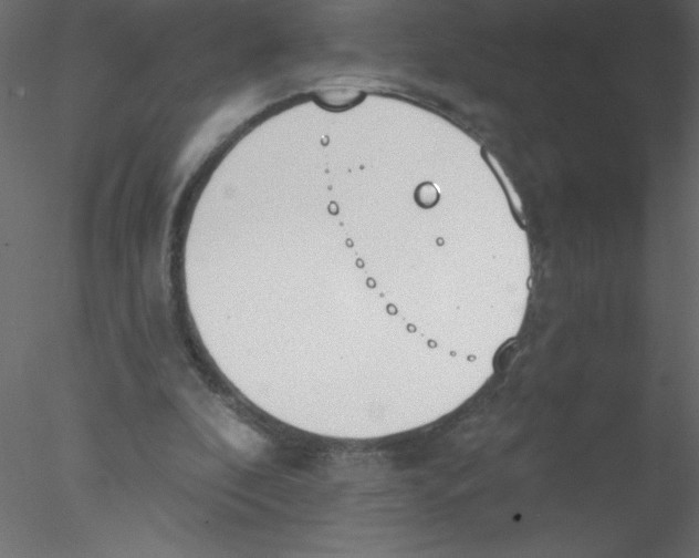 X0000076400296200611031729