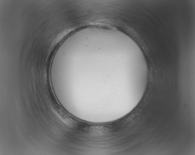 X0000076400298200611031729