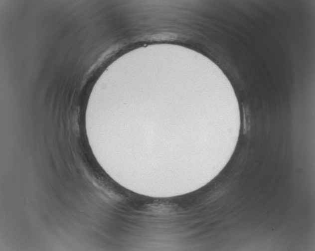 X0000076400300200611031729