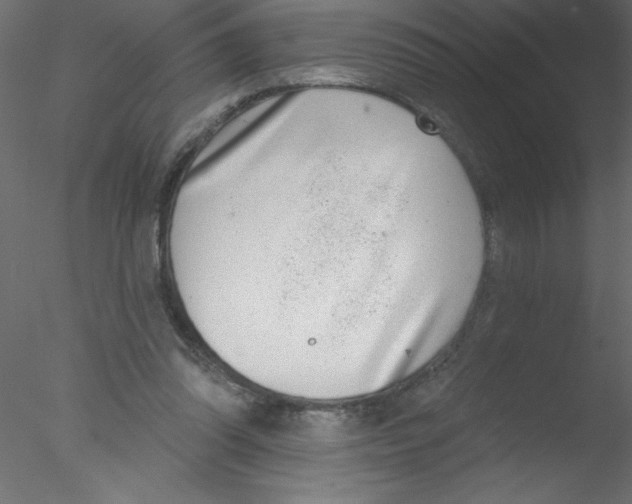 X0000076400302200611031729