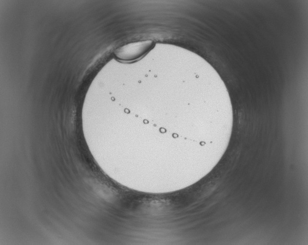 X0000076400304200611031729