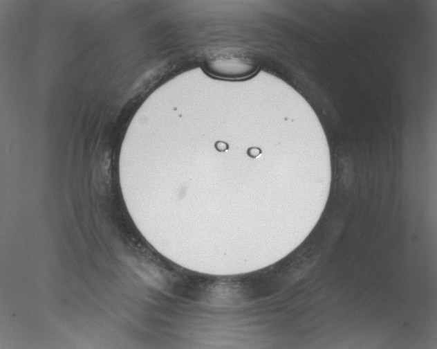 X0000076400308200611031729