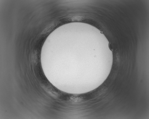 X0000076400311200611031729