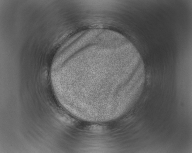 X0000076400314200611031728