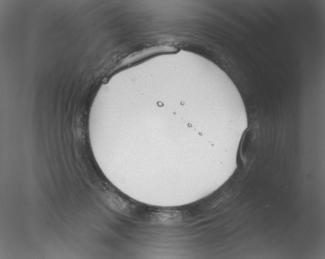 X0000076400317200611031728