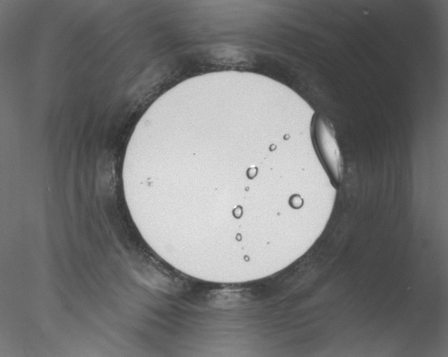 X0000076400320200611031728