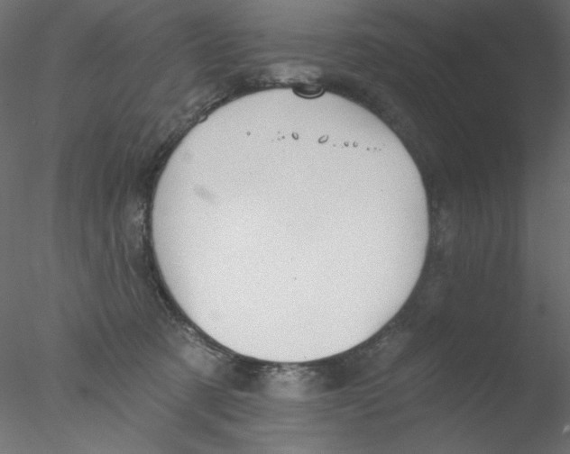 X0000076400321200611031728