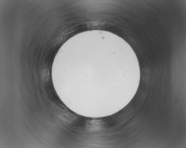 X0000076400324200611031728