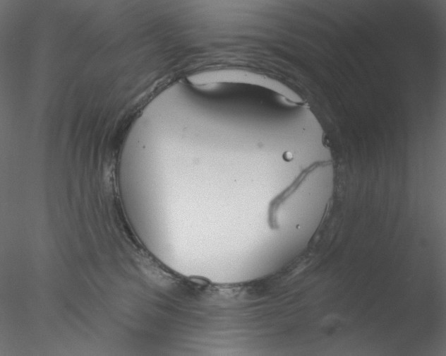 X0000076400329200611031728