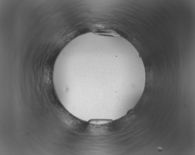 X0000076400331200611031728